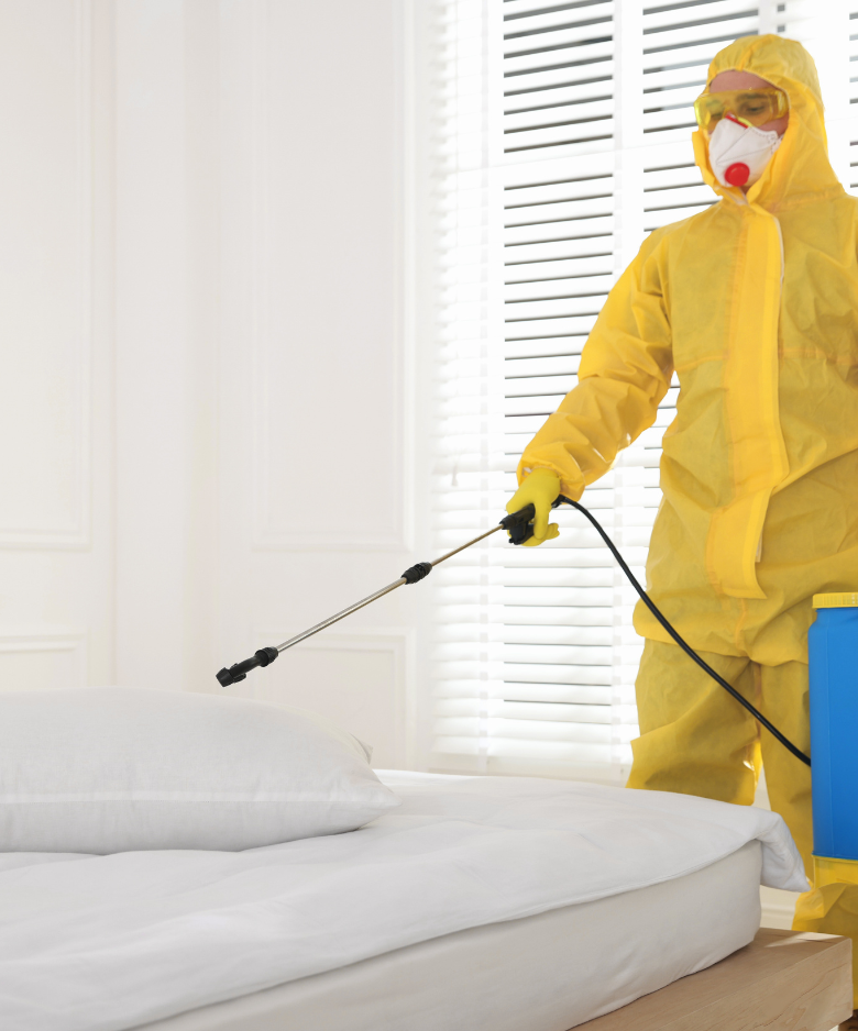 Professional Pest Control Team in Fulham